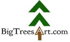 Bigtrees Logo